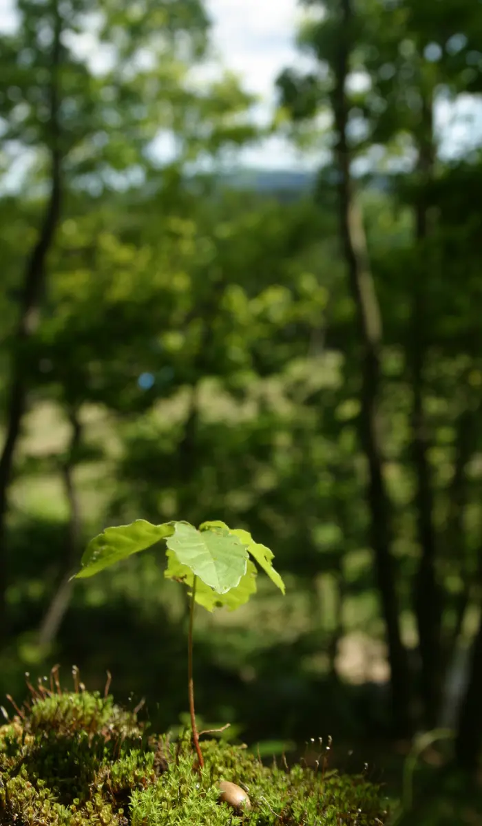 BASE NATURE WORK（株式会社ベースネイチャーワーク）